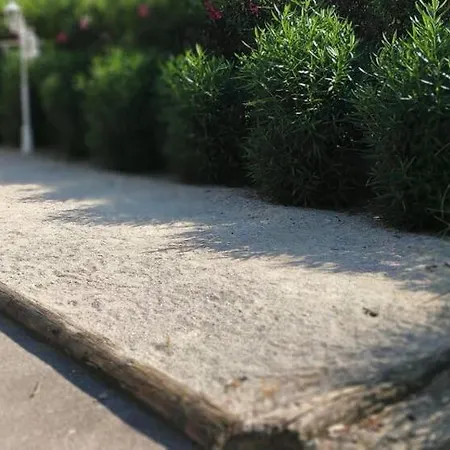 Avec Vue Cap D'antibes Daire Vallauris